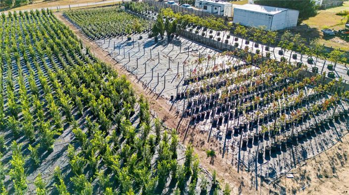 Image No.29-4 Bed House for sale