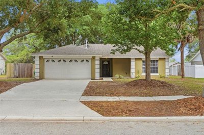 1 - Florida, House