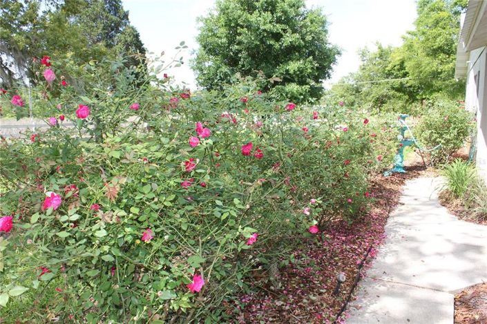 Image No.19-3 Bed House for sale