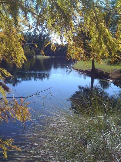 Image No.48-Appartement de 3 chambres à vendre à Saint John
