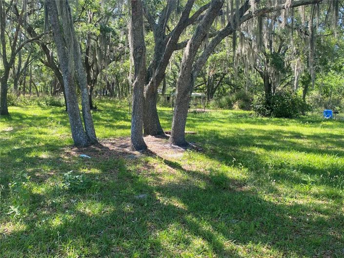 Image No.31-3 Bed House for sale