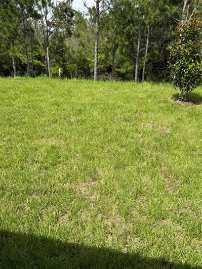 Image No.21-4 Bed House for sale