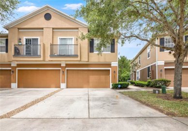 1 - Florida, Apartment