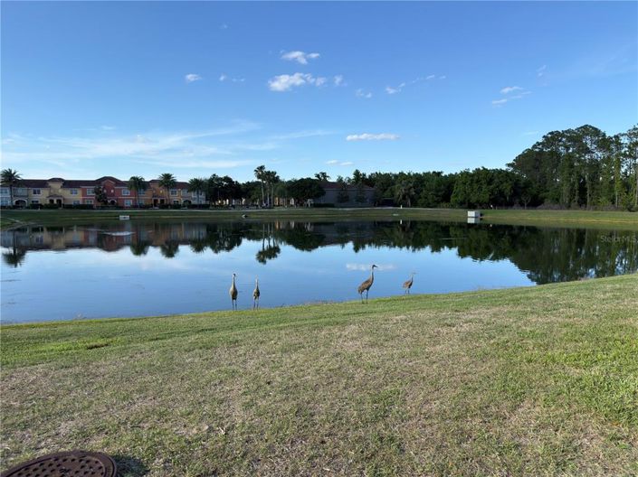 Image No.46-5 Bed House for sale