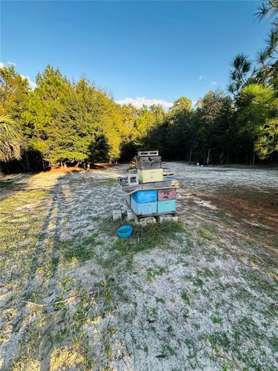 Image No.43-4 Bed House for sale