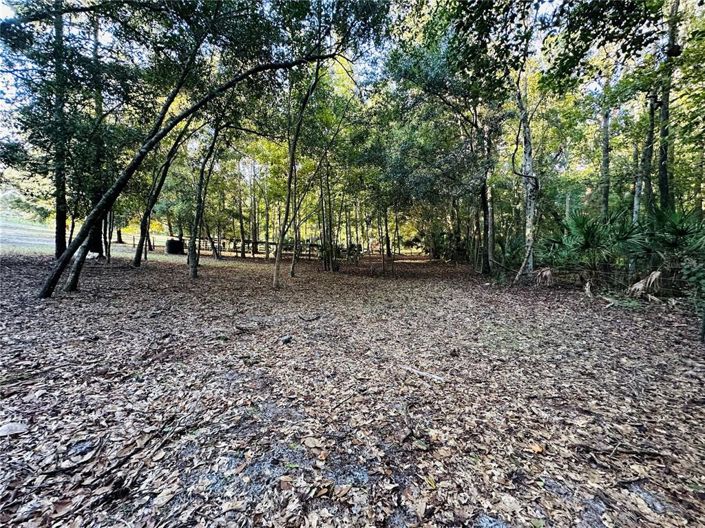 Image No.45-4 Bed House for sale