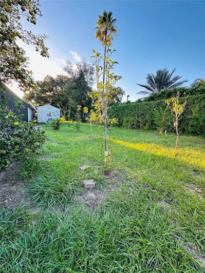 Image No.48-4 Bed House for sale