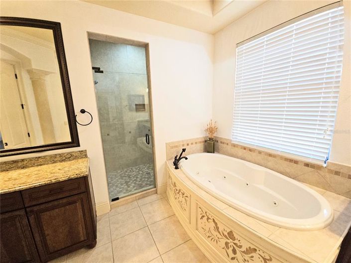 Image No.41-5 Bed House for sale