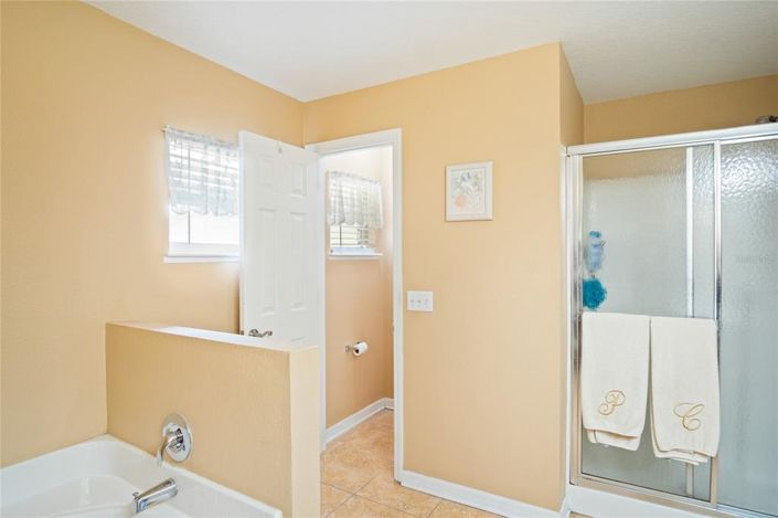 Image No.19-4 Bed House for sale