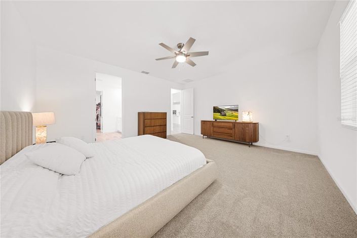 Image No.25-5 Bed House for sale