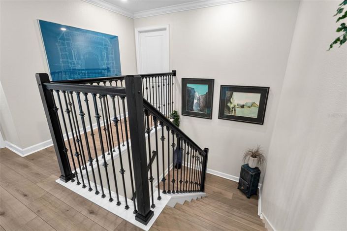 Image No.24-5 Bed House for sale