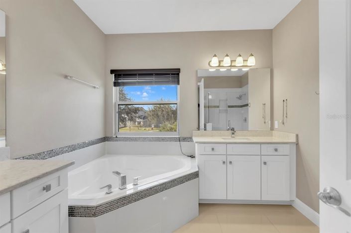 Image No.46-6 Bed House for sale