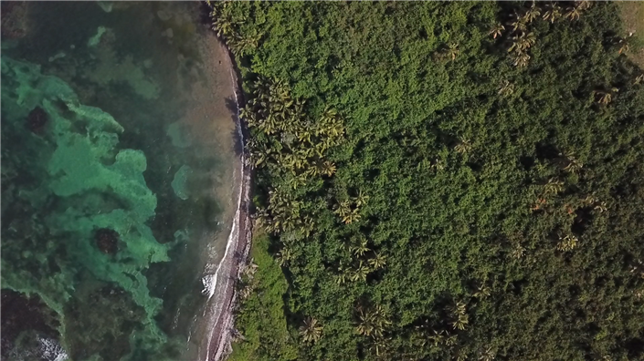 Image No.2-Commercial à vendre à Nevis