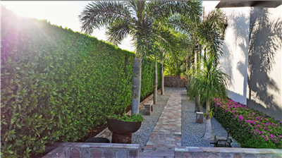 garden