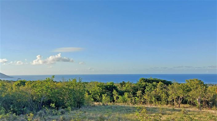 Image No.2-Terre à vendre à Nevis
