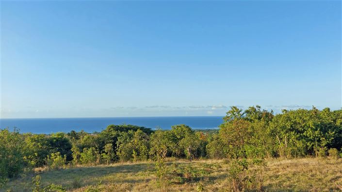 Image No.3-Terre à vendre à Nevis