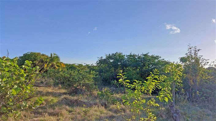 Image No.4-Terre à vendre à Nevis