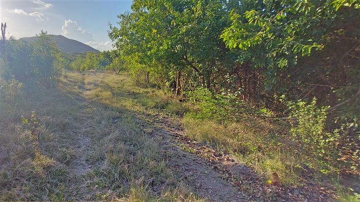 Image No.5-Terre à vendre à Nevis