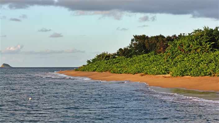 Image No.15-3 Bed Villa for sale