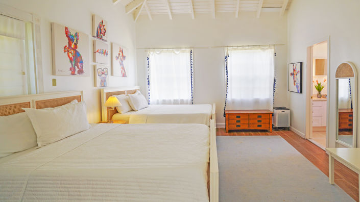 Image No.6-Villa de 5 chambres à vendre à Nevis