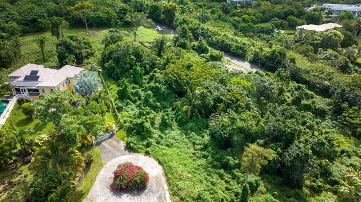 Image No.2-Terre à vendre à Nevis