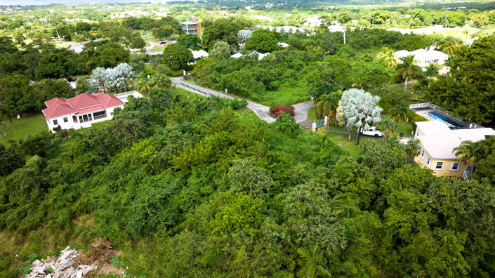 Image No.4-Terre à vendre à Nevis