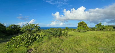 Nevis Style Realty most sold property