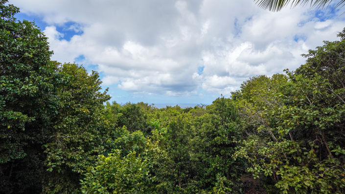 Image No.22-Villa de 3 chambres à vendre à Nevis
