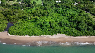 1 - Nevis, Terre