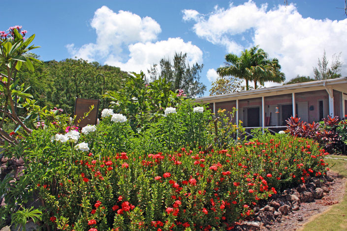 Image No.16-Villa de 2 chambres à vendre à Nevis