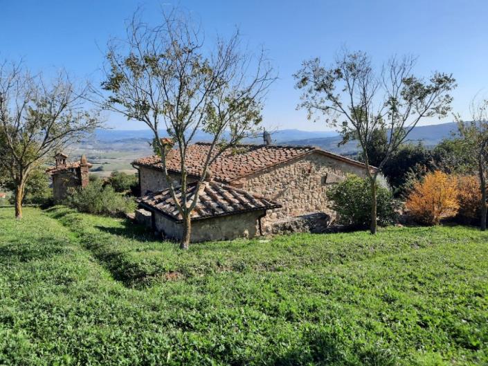 Image No.3-Ferme de 9 chambres à vendre à Chianni