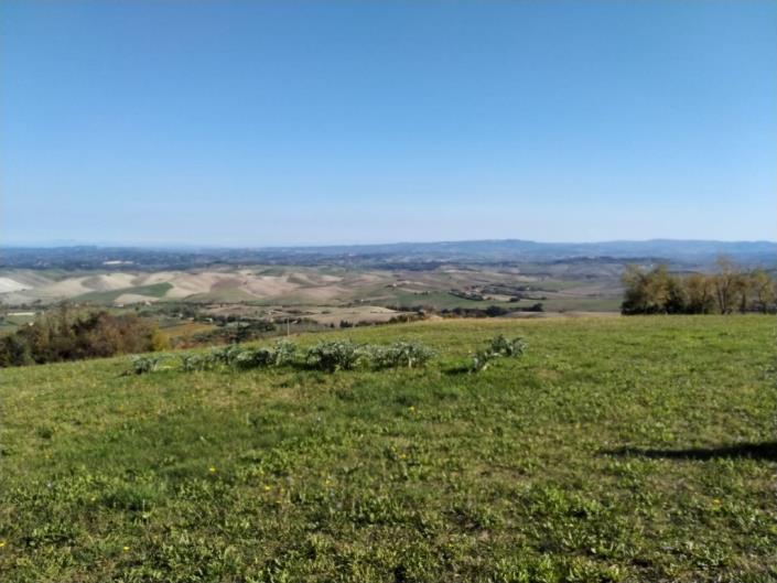 Image No.14-Ferme de 9 chambres à vendre à Chianni