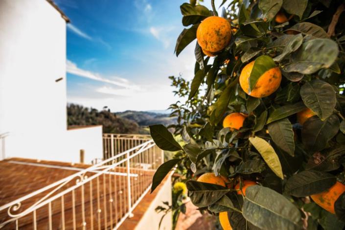 Image No.8-4 Bed Townhouse for sale