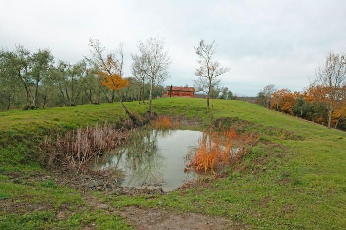 Image No.4-Ferme à vendre à Peccioli