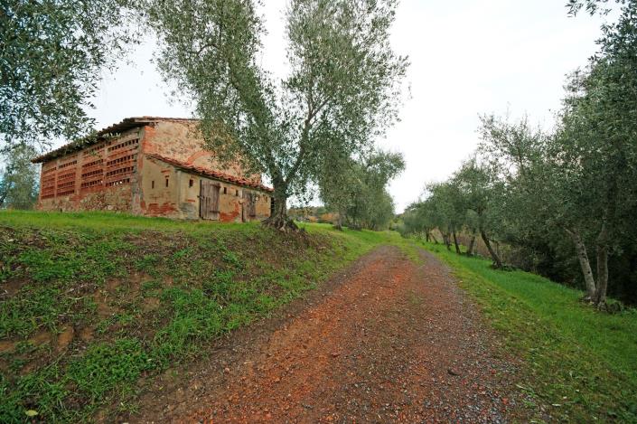 Image No.8-Ferme à vendre à Peccioli