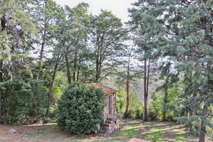 Image No.2-Ferme de 6 chambres à vendre à Pomarance