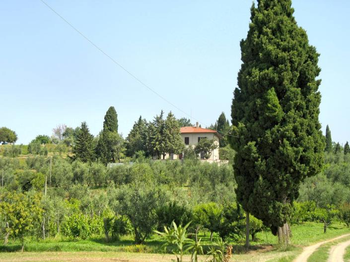 Image No.14-Villa de 3 chambres à vendre à Palaia