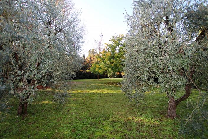 Image No.4-Villa de 5 chambres à vendre à Pontedera