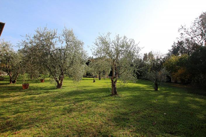 Image No.15-Villa de 5 chambres à vendre à Pontedera