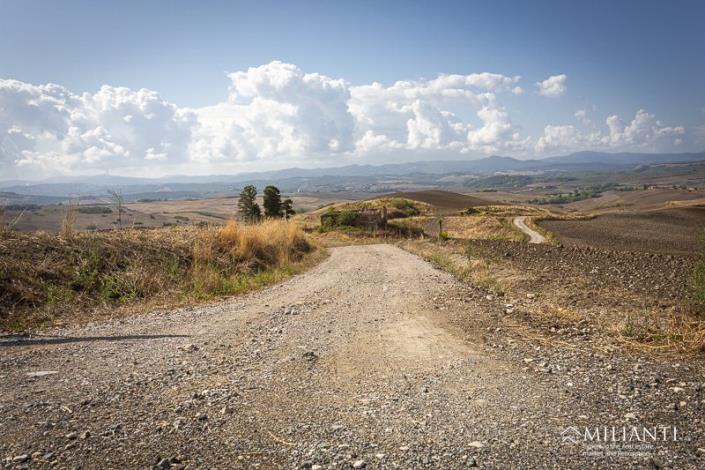 Image No.13-Farmhouse for sale