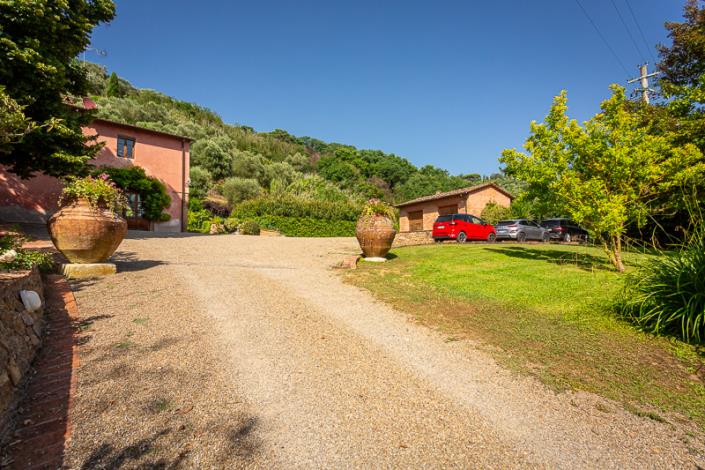 Image No.17-Ferme de 4 chambres à vendre à Palaia