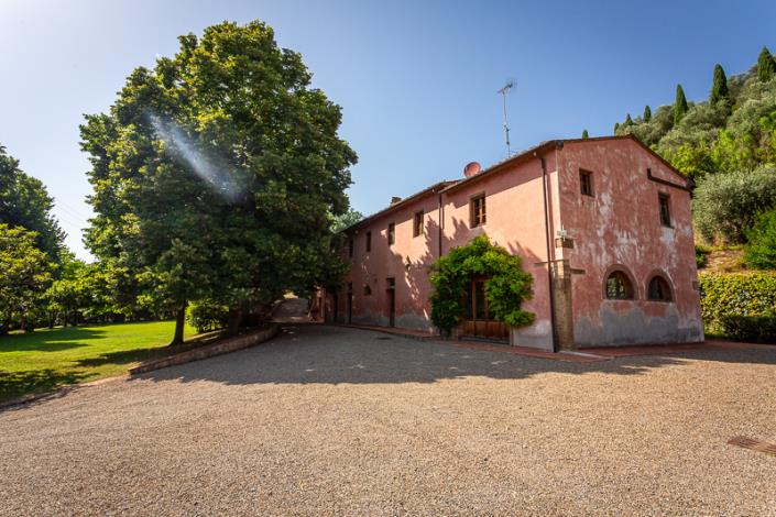 Image No.19-Ferme de 4 chambres à vendre à Palaia