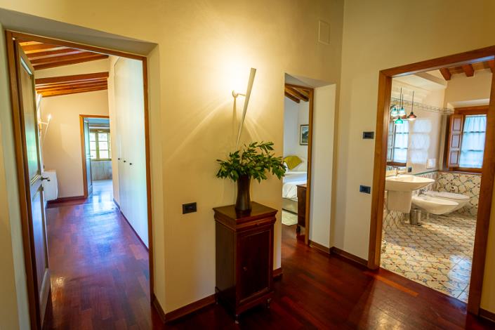 Image No.34-Ferme de 4 chambres à vendre à Palaia