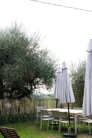 Image No.27-Maison de ville de 4 chambres à vendre à Lajatico