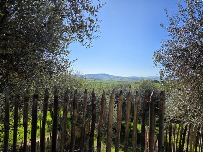 Image No.29-Maison de ville de 4 chambres à vendre à Lajatico