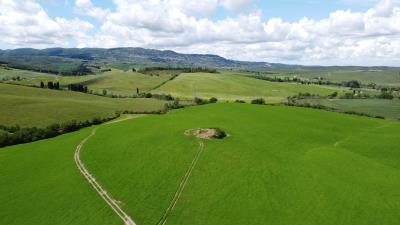 1 - Lajatico, Ferme