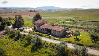 DJI_0337