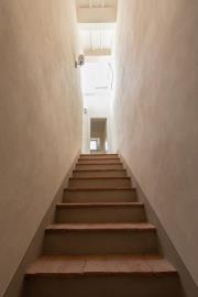 IMG-20220823-WA0077
