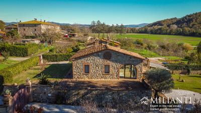 DJI_0465