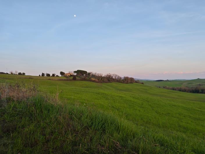 Image No.18-Maison de campagne de 3 chambres à vendre à Lajatico